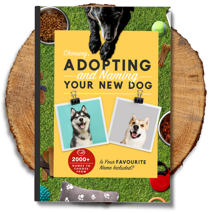 Choosing, Adopting and Naming Your New Dog Ebook - Petizon